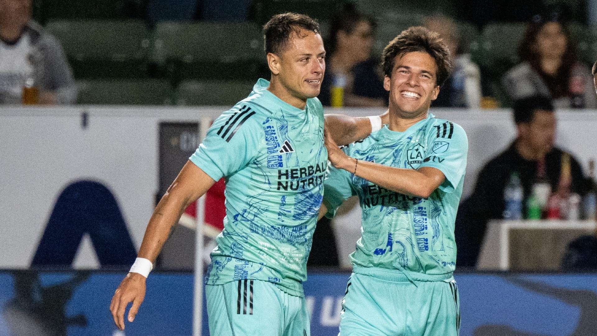 内的凝聚力 内的凝聚力