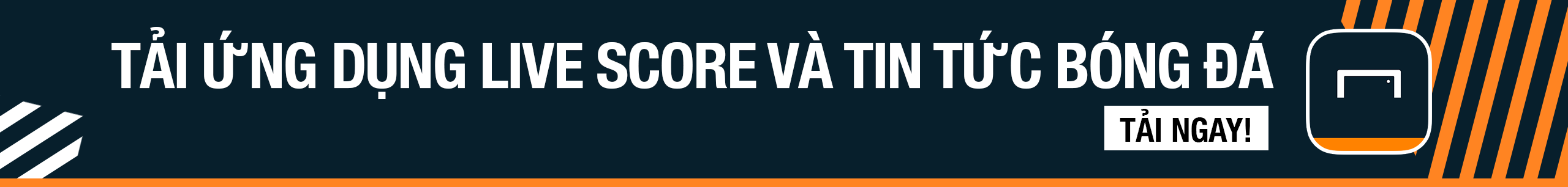 未来可期 未来可期